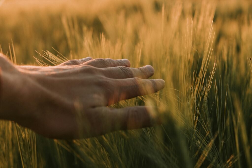 Hands In Grass